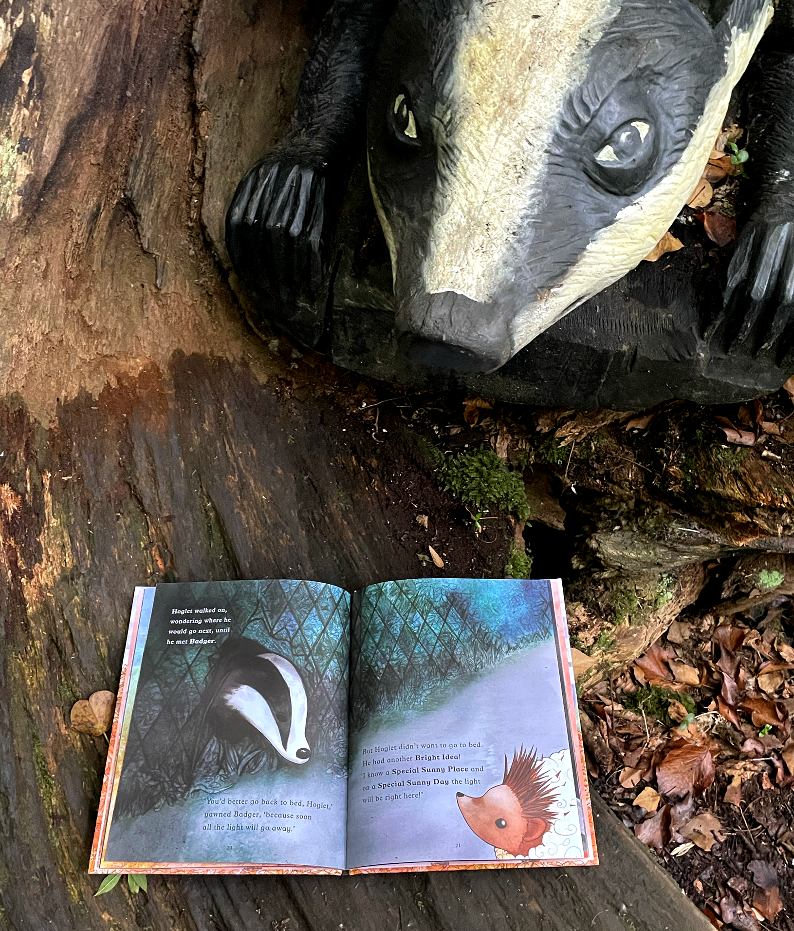 Illustrated book cover