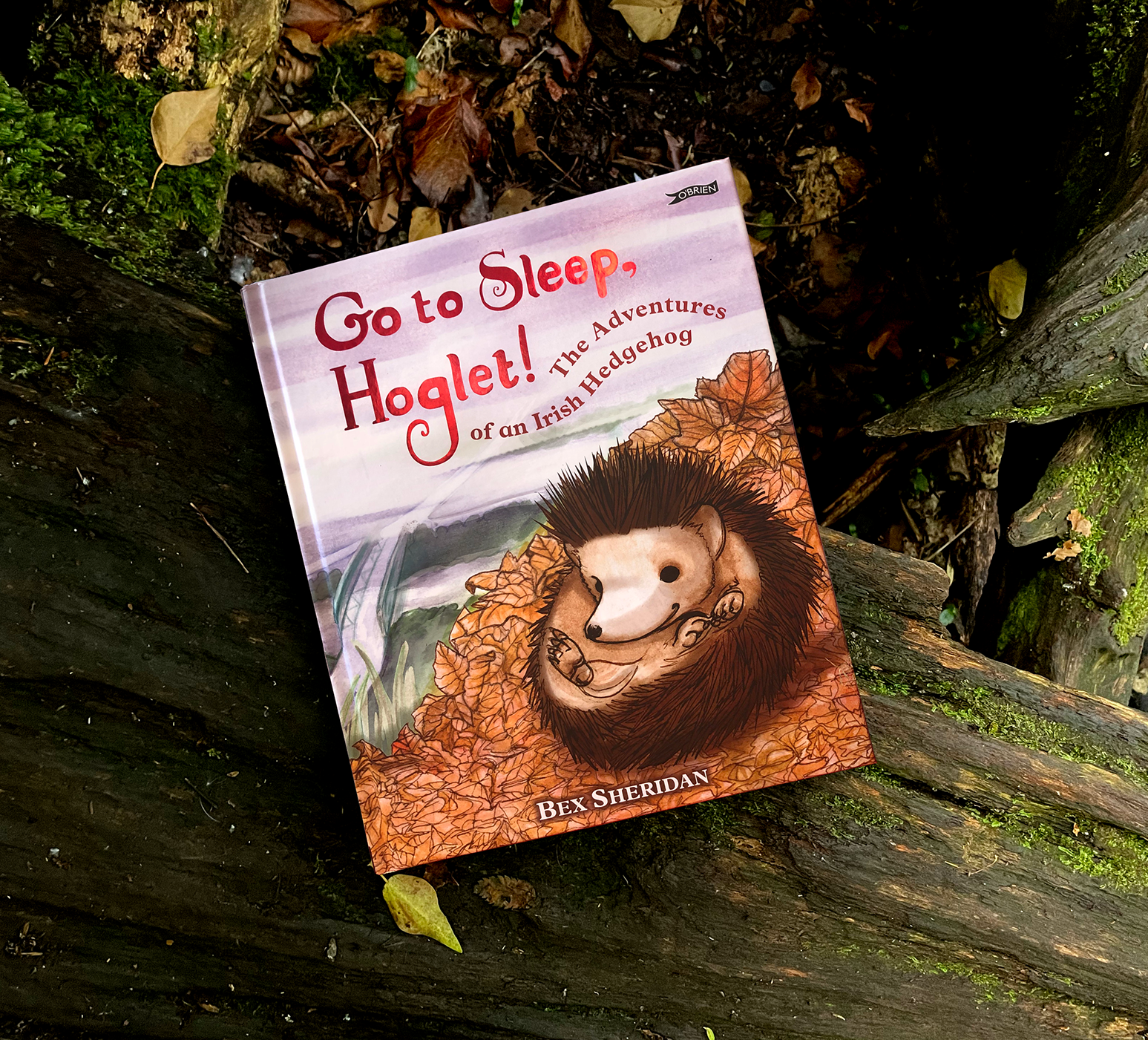 Go to Sleep, Hoglet! spread