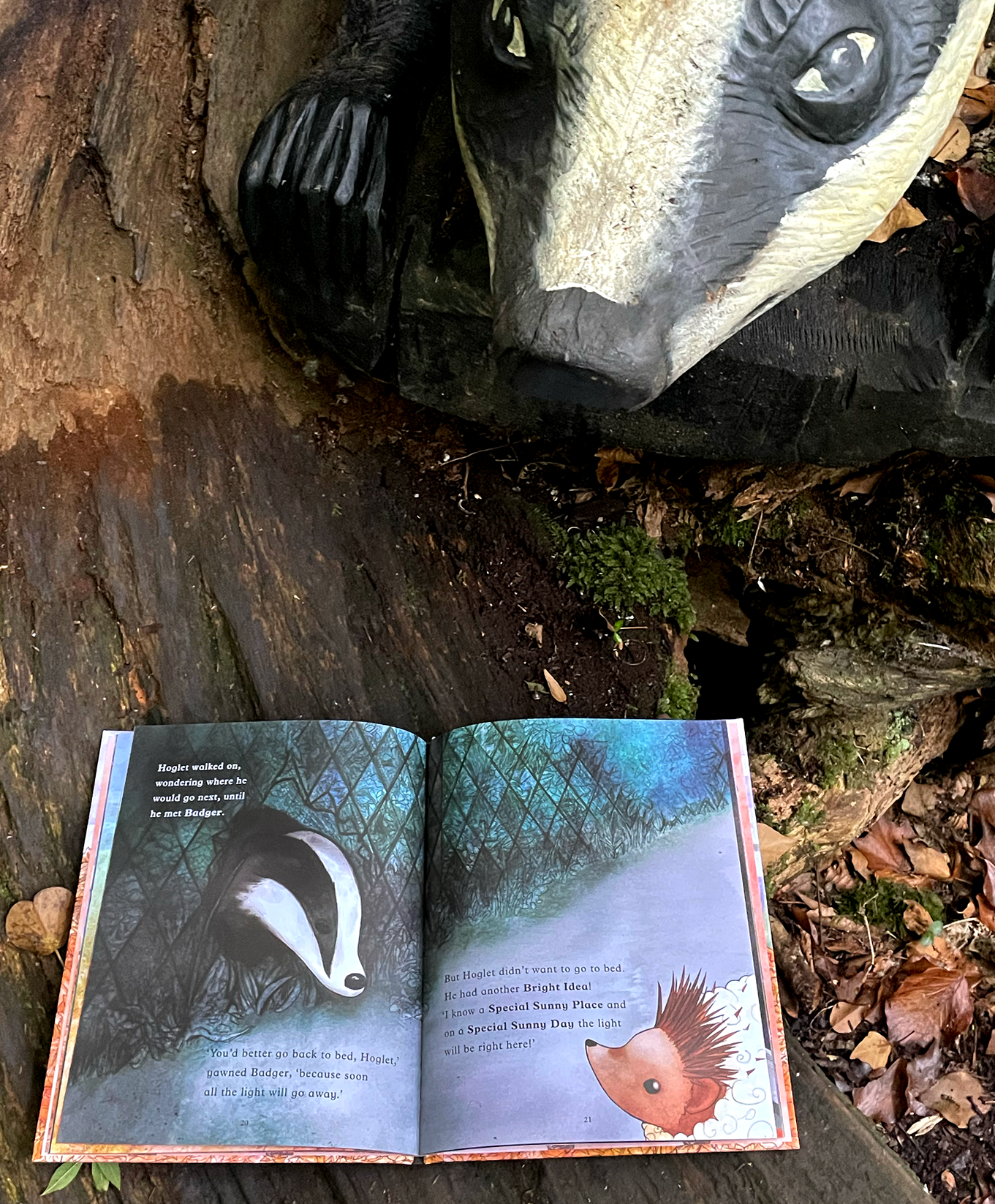 Book artwork