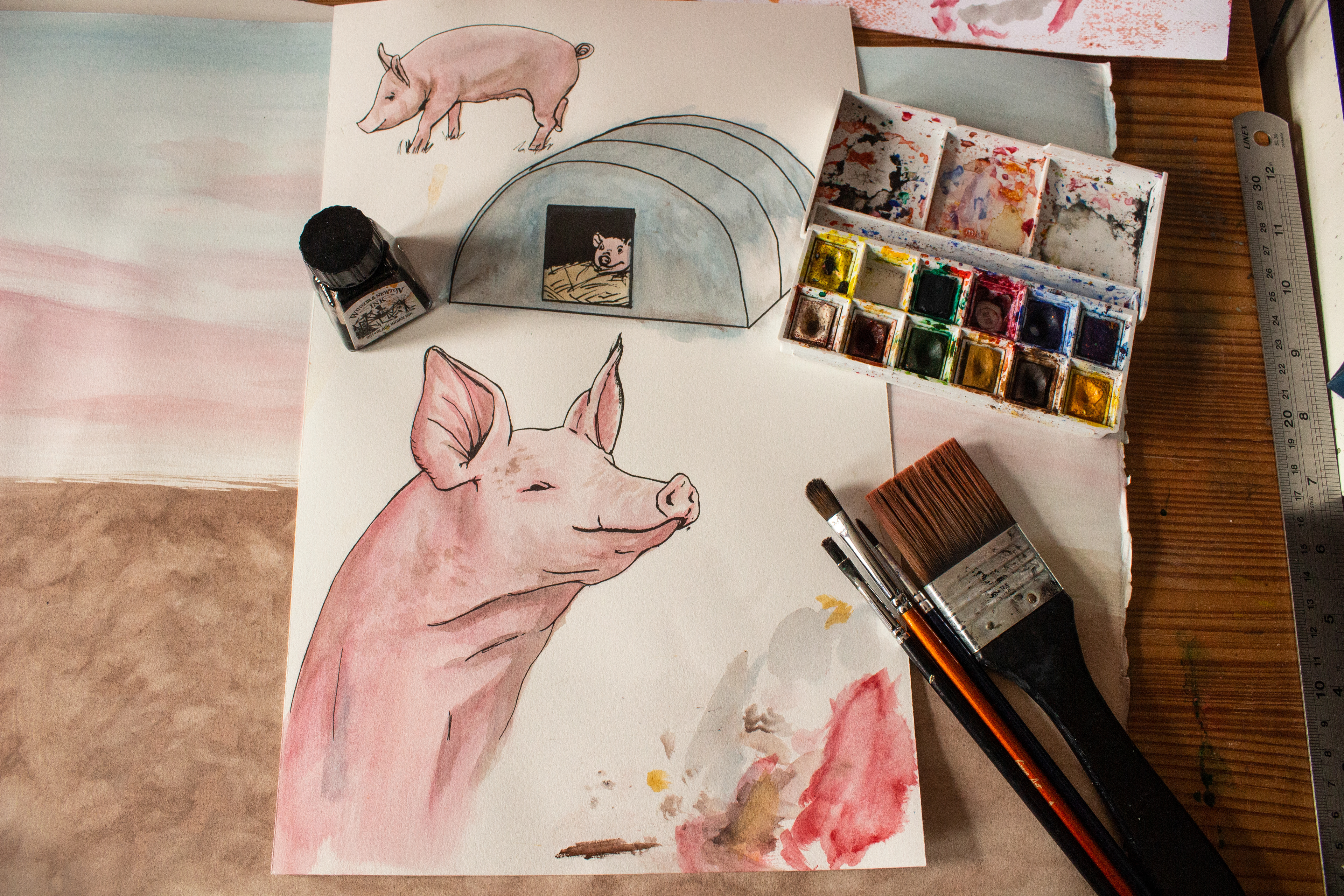 Irish Farm Animals development image