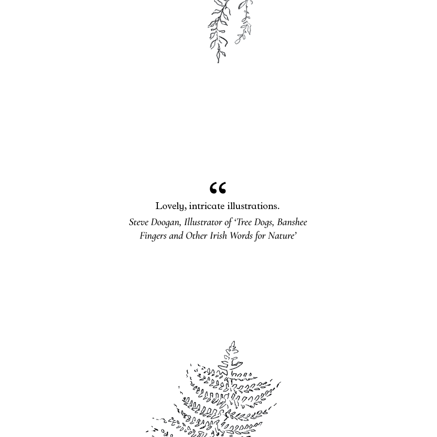 Wild Eyes title page