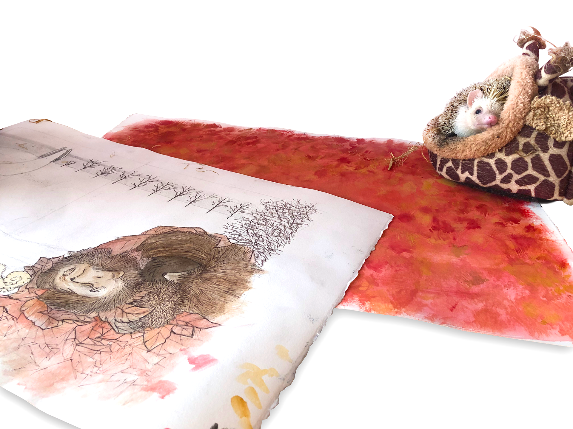 Go to Sleep, Hoglet! book spread