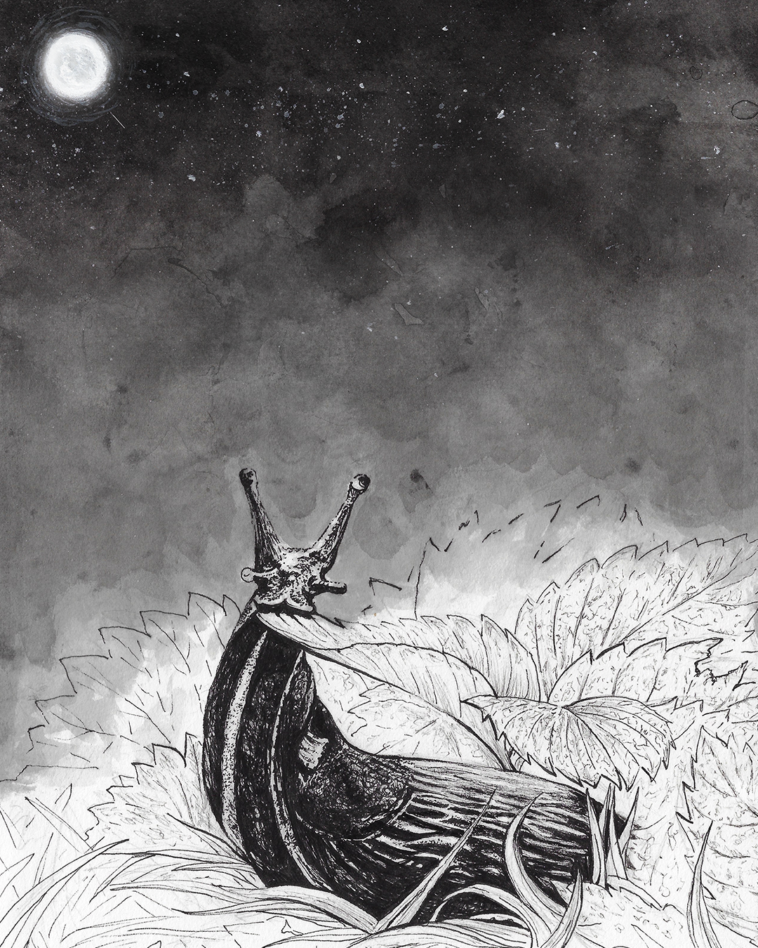 Slug beneath a moonlit sky